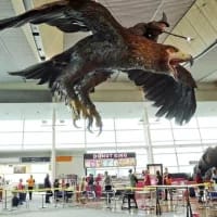 Hobbit eagle sculptures to be taken down from Wellington Airport