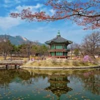 Why South Korea should be on your bucket list