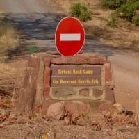 Woman trampled by elephants in Kruger identified