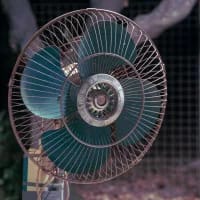 Extreme heatwave sweeps parts of South Africa