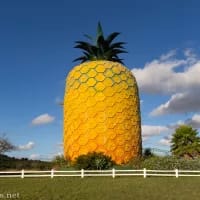 Roadside attractions that sparked tourism revival