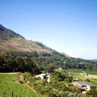 10 Constantia restaurants serving good food and views