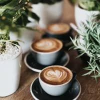 International destinations for coffee lovers