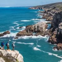 Upgrades on De Hoop’s Whale Trail ahead of whale season