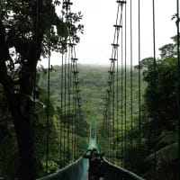 Monteverde, Costa Rica: The eco-adventurer’s paradise