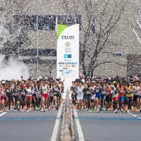Athletic adventures: Travelling for sports