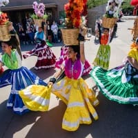 Oaxaca, Mexico: A culinary and artistic haven