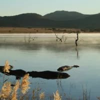 Wildlife viewing in winter: Why it’s the best time for a safari