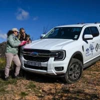 A day with the Cape Leopard Trust and Ford at Klipbokkop