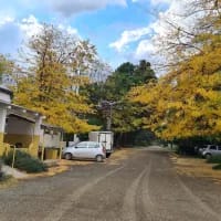Karoo towns with a cultural revival
