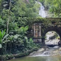 Nature reserves inside cities worth visiting