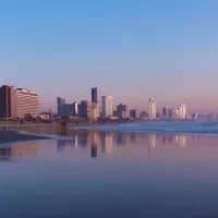 South Coast beaches reopen as sardine run moves offshore