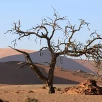 Hidden desert escapes in Southern Africa you can actually visit