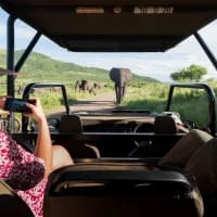 How to capture luxury-look game drive images with your smartphone