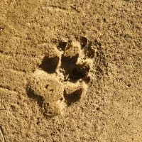 Best places to learn something wild