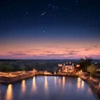 Top 5 South African residents-only safari deals you need to know about