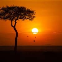 The Ritz-Carlton is opening its first-ever safari camp