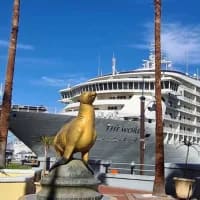 Cape Town celebrates its most successful cruise season yet
