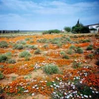 Underrated inland escapes for the off-season traveller