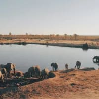 Where to safari if South Africa feels too expensive (or too busy)