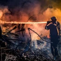 Cape Town plants identified as fire hazards