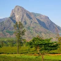 UNESCO adds 26 new World Heritage Sites, spotlighting Africa’s rich heritage