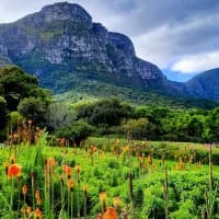 Passport to nature: Unlimited access to SA’s botanical gardens