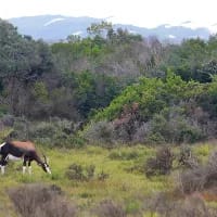 CapeNature reserves offer free entry during Access Week 2025