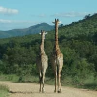 21 national parks open their gates for free this September