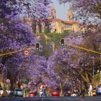 The best heritage day drives for a spring escape