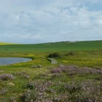 Lesser-known estates: Heritage vineyards off the beaten path