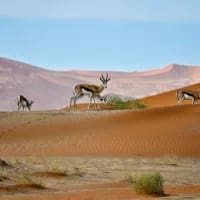 Namibia expands visa-on-arrival list to 35 new countries