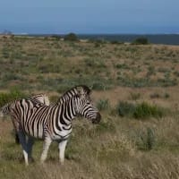 Eastern Cape Free Access Week 2025