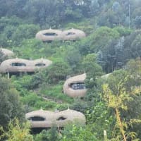 Greener safaris: 7 lodges leading the eco-charge