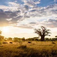 Singita set to open at Delta’s new Elela Lodge in December 2026