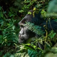 Africa’s emerging adventure destinations