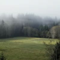 South African destinations that feel straight out of Twilight