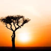 Chasing sunrises across Africa