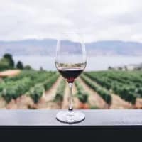 Hiking trails that end in wine country