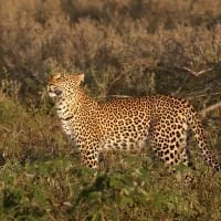 6 nature stays in South Africa that come with their own hiking trail