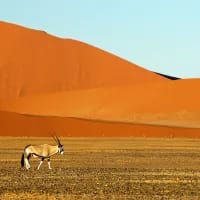 Desert adventures off the beaten path – Namibia, Danakil, Kalahari