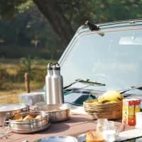 Safari by Sunrise: Where your morning coffee meets the wildlife