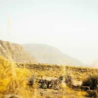 Uncover the magic of South Africa’s Northern Cape