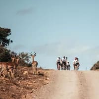 Shamwari hosts thrilling Nedbank Gravel Burn finish