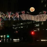 Things to know about Cape Town’s Festive Lights switch-on