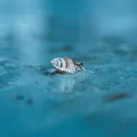 Southern Africa’s crystal-clear water bucket list