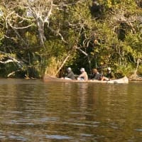 5 kayak routes for a different kind of safari