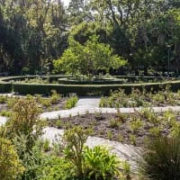 Free things to do in every major SA city this summer