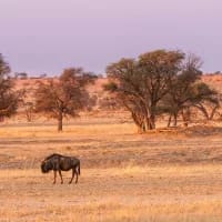 Desert & dune tourism rising: Beyond the Namib