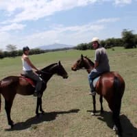 Horseback safaris: A beginner-friendly guide to riding with wildlife